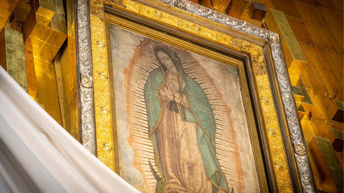 History and Enigma of Our Lady of Guadalupe